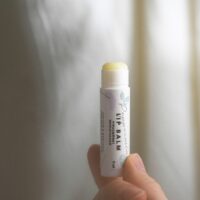 BONOBO - Mėtų balzamas lūpoms