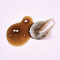 palneological-peat-scalp-soothing-shampoo-250ml-8e1b52e8.jpg NURME - Durpių šampūnas raminantis galvos odą, 250 ml